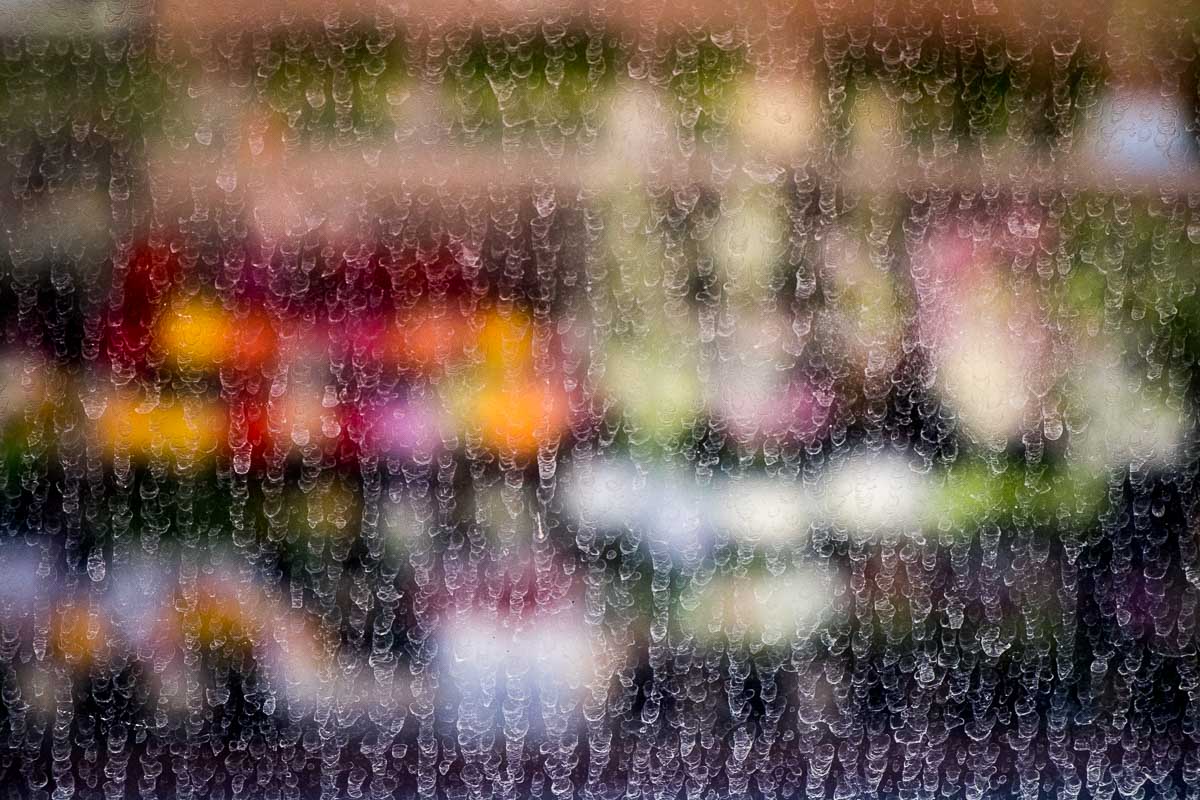 Bus Window