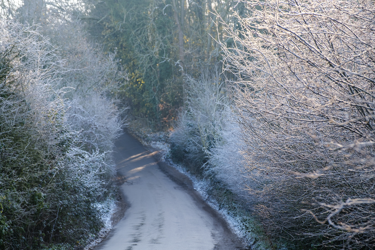 Frosty Lane